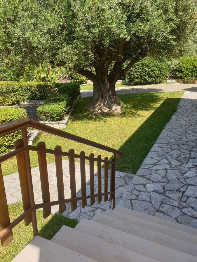 Angela Studios Razáta Dış mekan fotoğraf